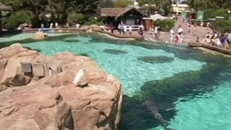 Gene Simmons Family Jewels: Something's Fishy