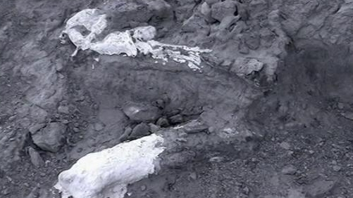 Jurassic Fight Club: Hunter Becomes Hunted