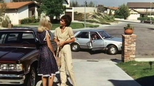 Knots Landing: The Lie