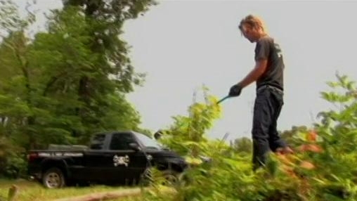 Billy The Exterminator: Kitty Corpse Cleanup