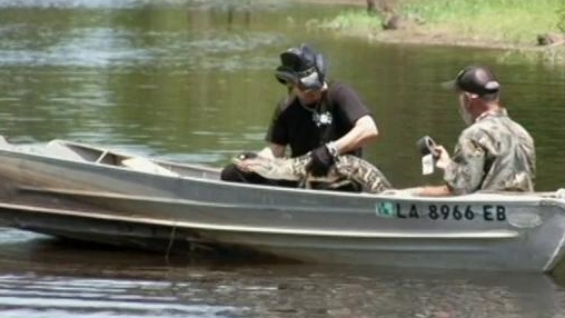 Billy The Exterminator: There's A Gator In My Boat