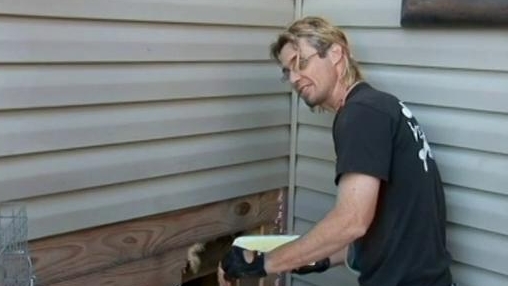 Billy The Exterminator: Possums In The Wall