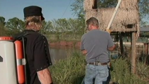 Billy The Exterminator: Gator Park Swarm