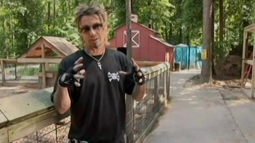 Billy The Exterminator: Goth Bees And Killer Coons