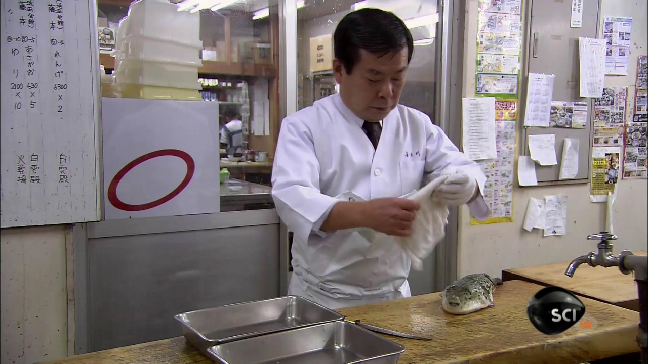 How Do They Do It: The Deadliest Fish In The World