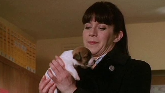 Murder In Suburbia: Dogs