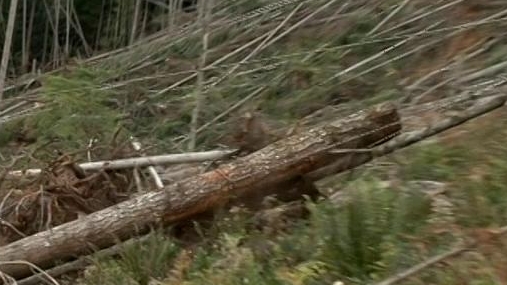Ax Men: Market Meltdown