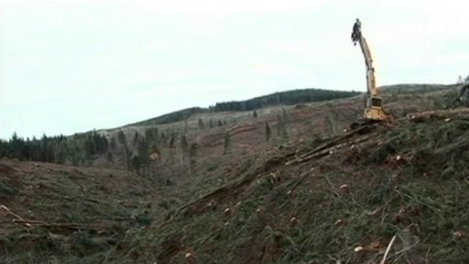 Ax Men: Loggers Under Fire