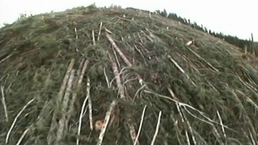 Ax Men: A Logger's Thanksgiving