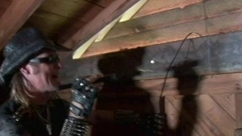 Billy The Exterminator: Squirrels In The Attic