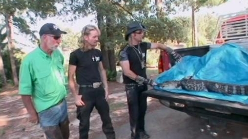 Billy The Exterminator: Backyard Gator