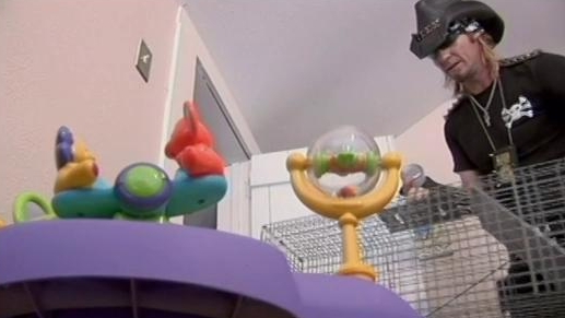 Billy The Exterminator: Nursery Room Raccoon