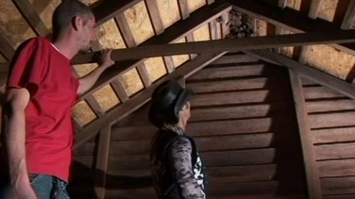 Billy The Exterminator: Bat Attack