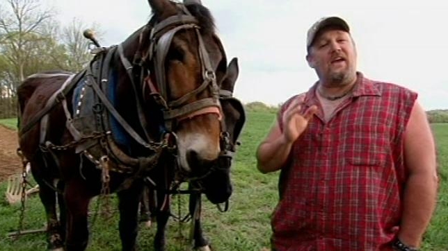 Only In America With Larry The Cable Guy: Larry Breeds Mules