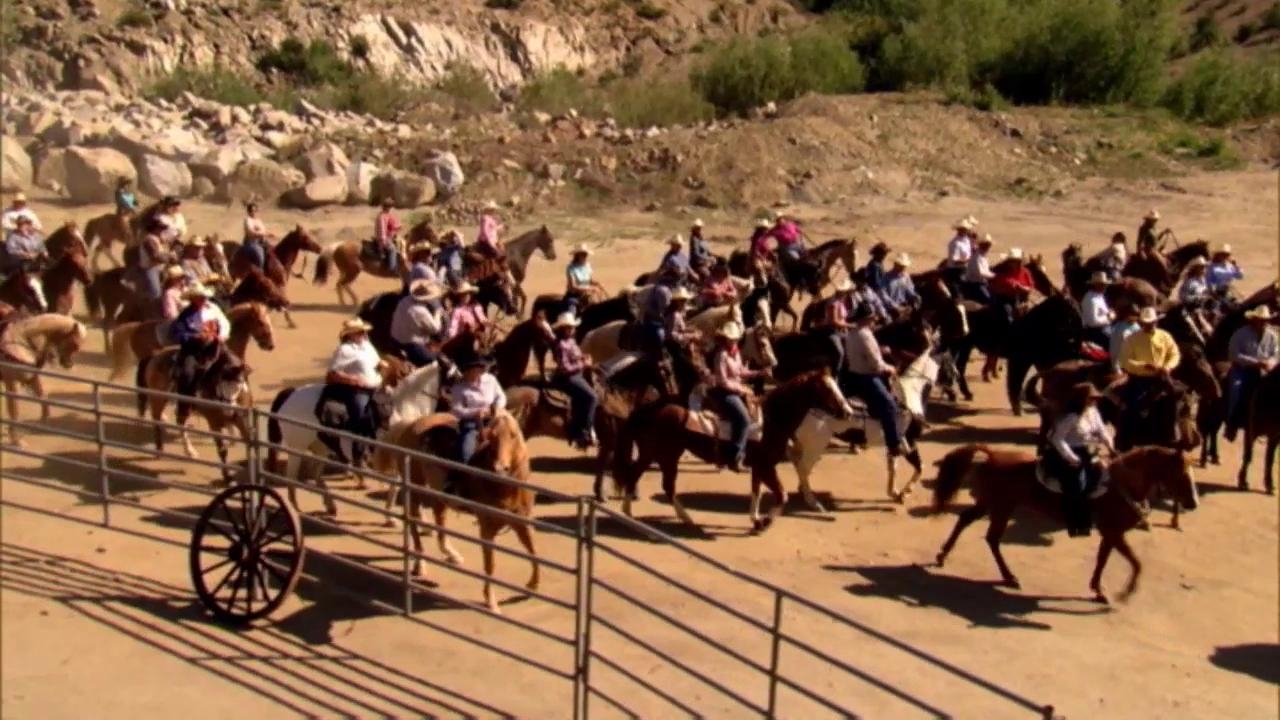 Masterchef: 101 Cowboys