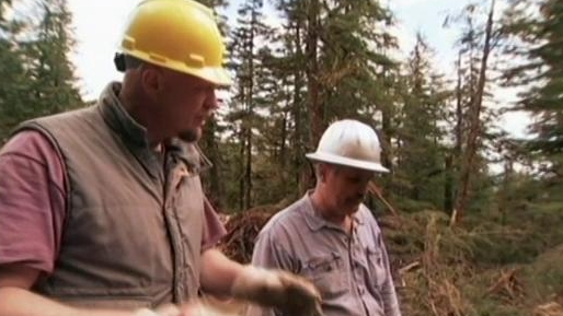 Tougher In Alaska: Logging