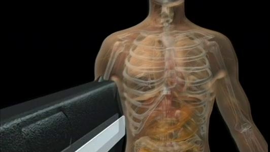 Crime 360: Deadly Secrets