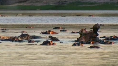 Expedition Africa: Heart Of Darkness