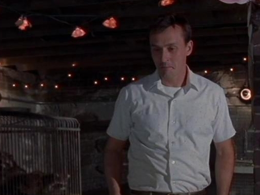 LA Femme Nikita: Toys In The Basement