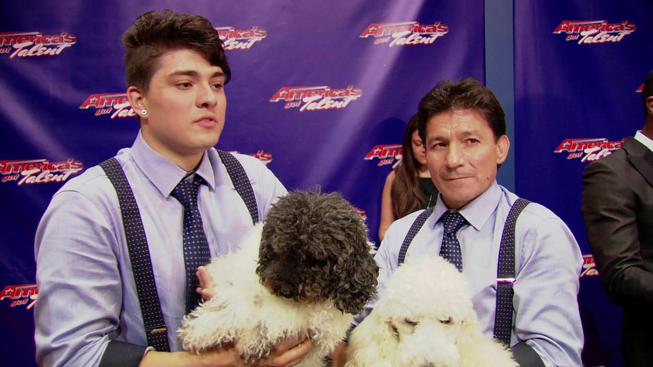 America's Got Talent: Olate Dogs