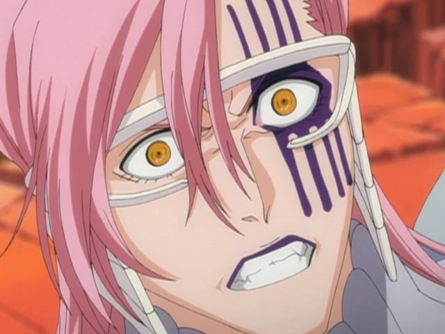Bleach: Season 13