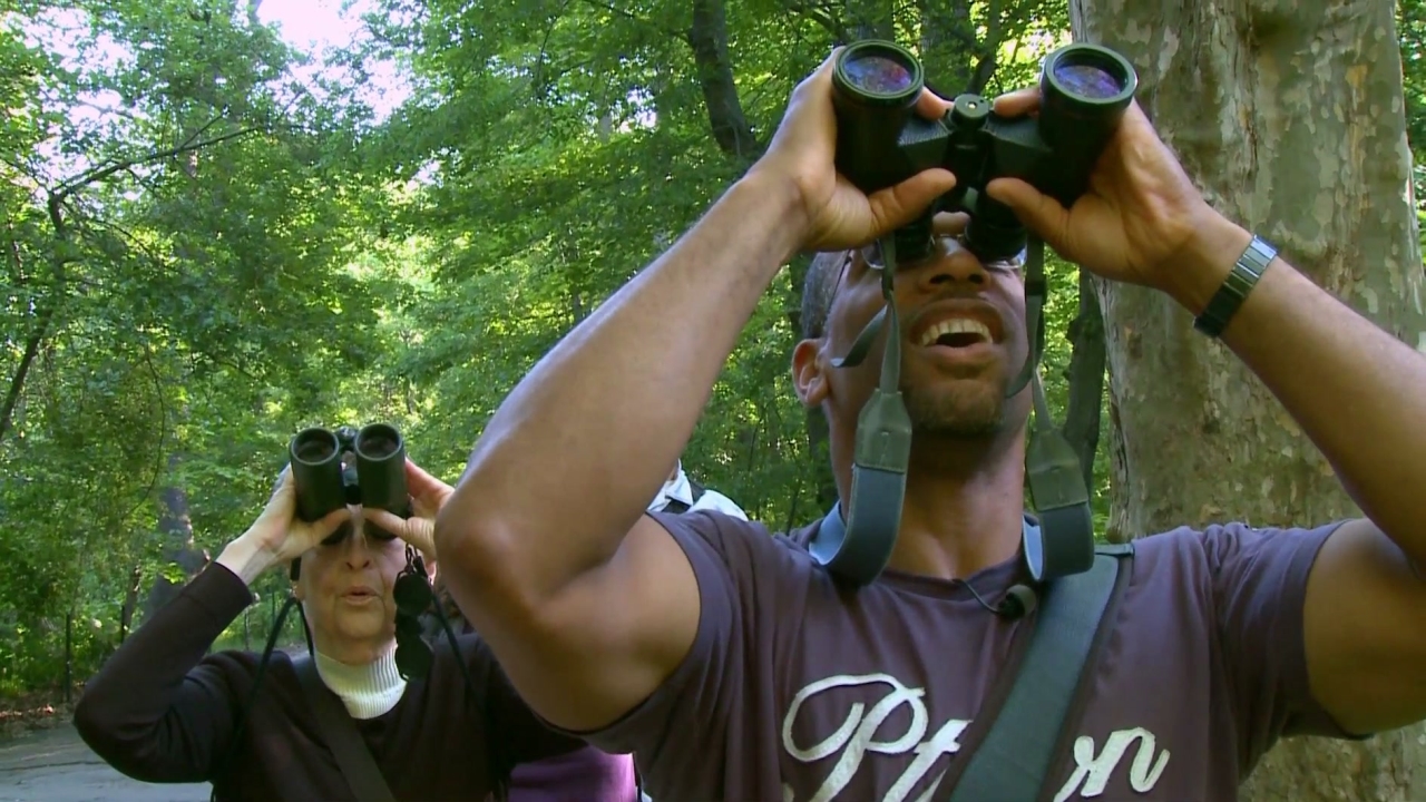 Birders: The Central Park Effect