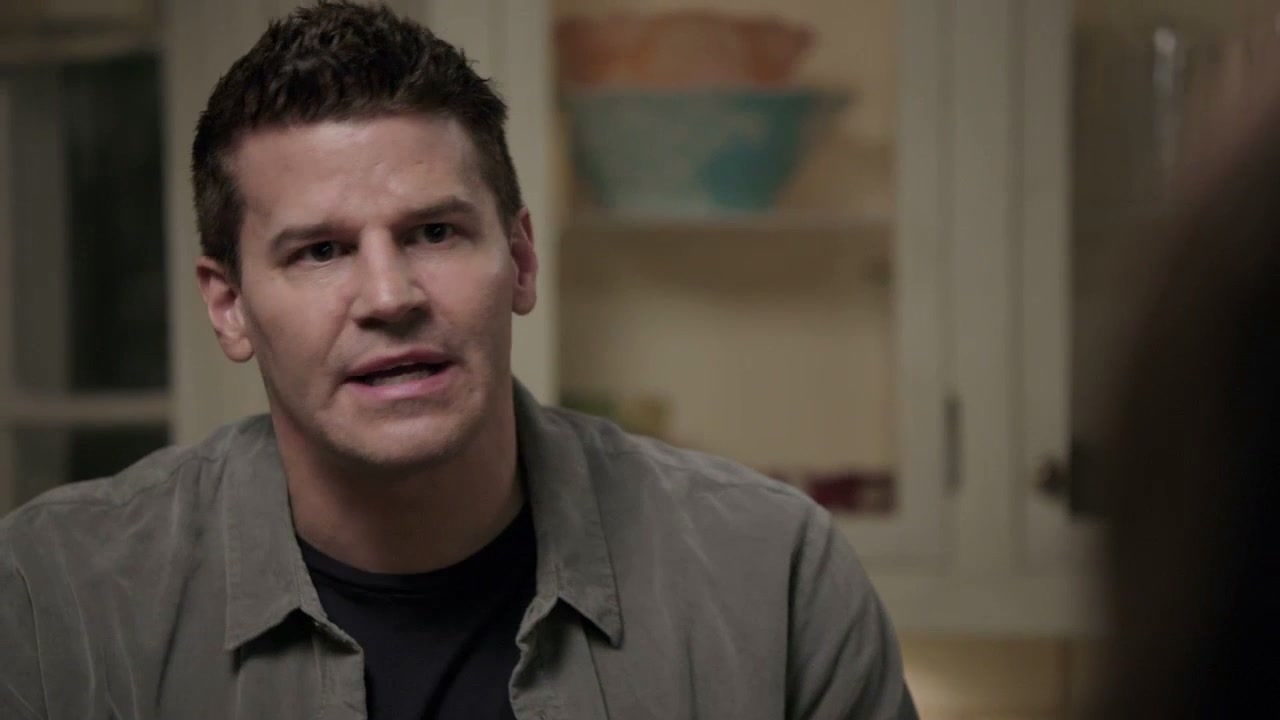 Bones: The Shot In The Dark