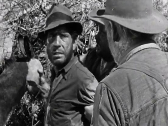 The Treasure Of The Sierra Madre