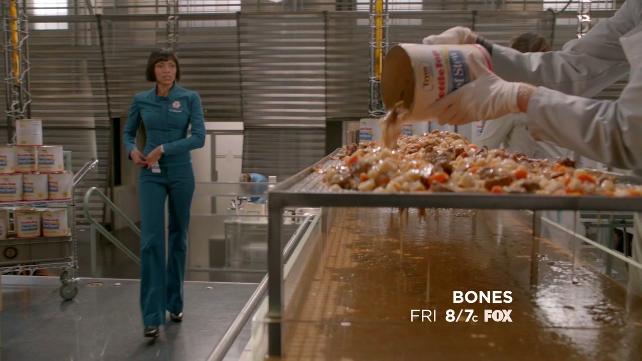 Bones: The Mystery In The Meat