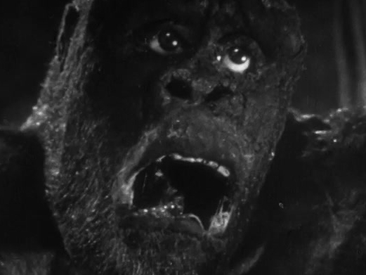 Mighty Joe Young