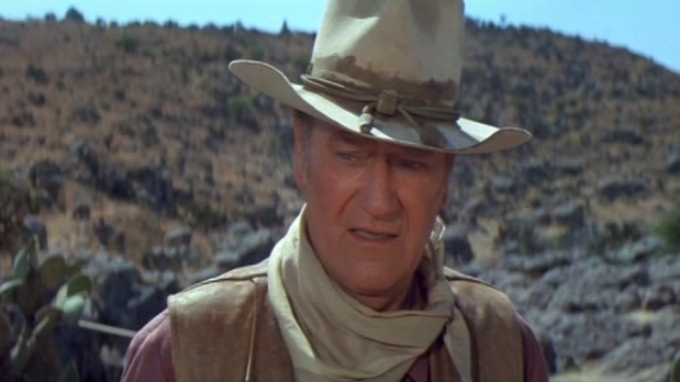 The Train Robbers