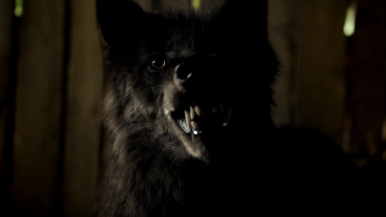 The Returned (Trailer 1)