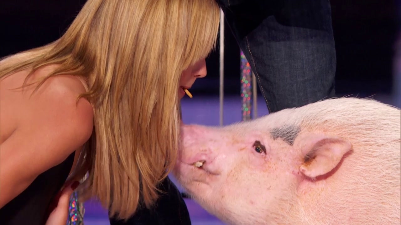 America's Got Talent: Top Hogs