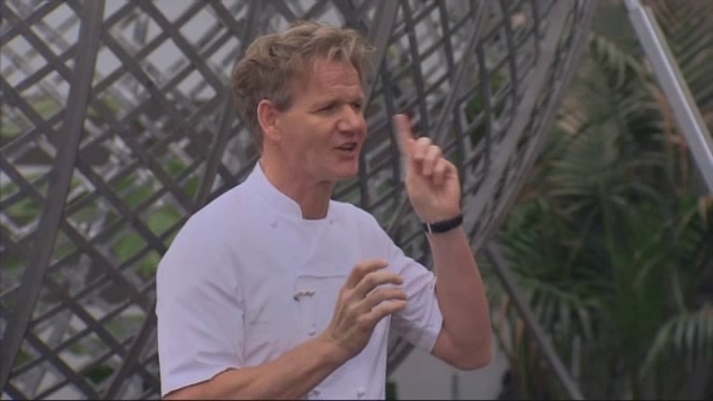 Hell's Kitchen: 19 Chefs Compete