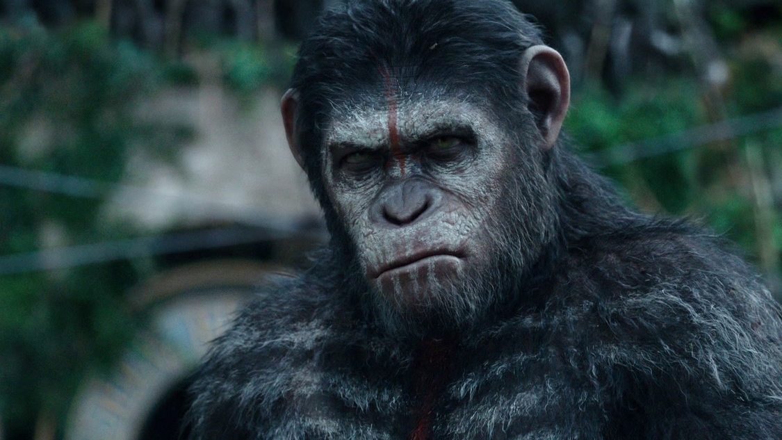Dawn Of The Planet Of The Apes: Apes Don't Want War