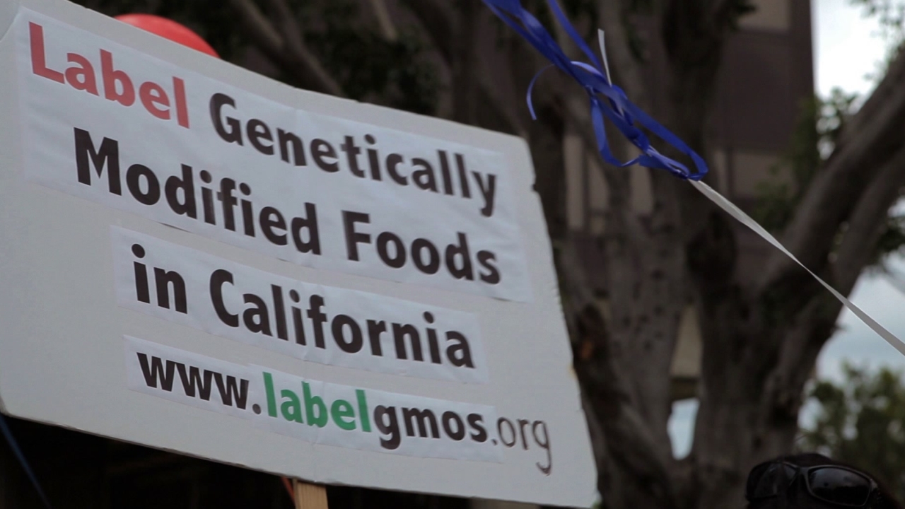 GMO OMG