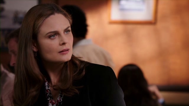 Bones: Partners