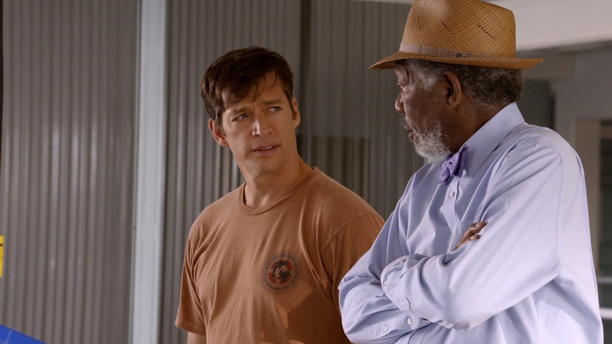 Dolphin Tale 2: Does She Ever Come Out?