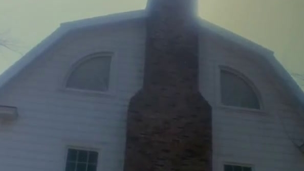 Amityville II: The Possession