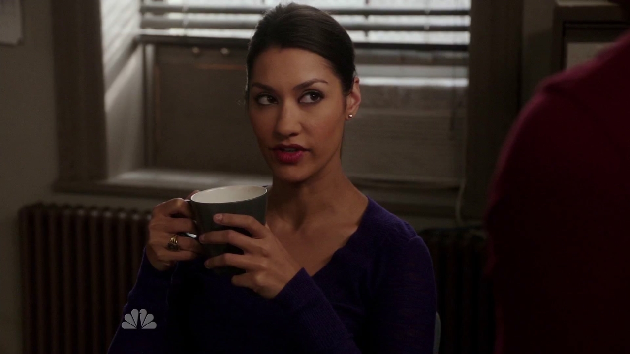 The Mysteries Of Laura: A Meeting Of Laura's Exes, Awkward!