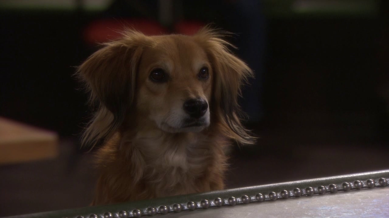 Undateable: Candace Wants