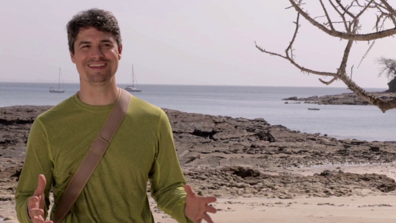 The Island: Graham Sheldon
