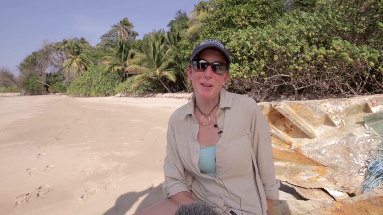 The Island: Holly Wofford