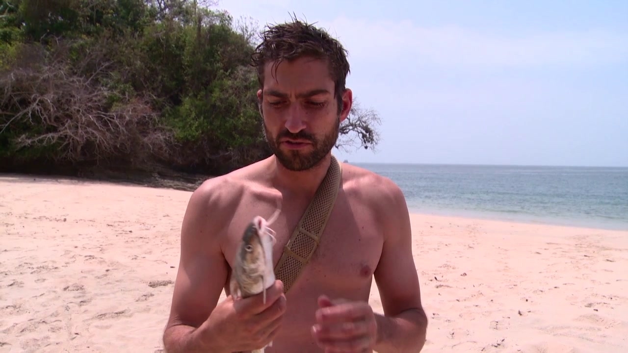 The Island: Easier Said Than Done