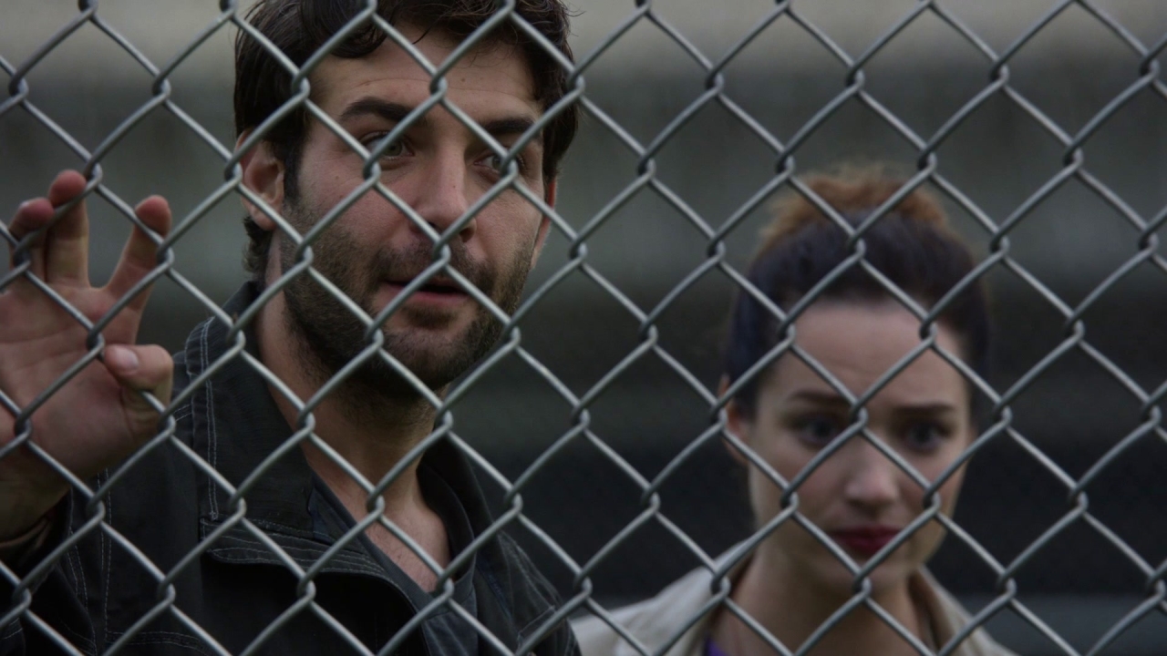Zoo: What Is It?