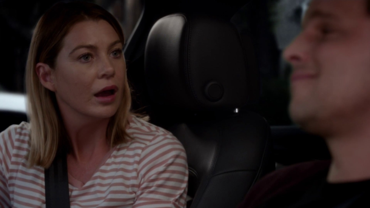 Grey's Anatomy: Visiting Ladytown