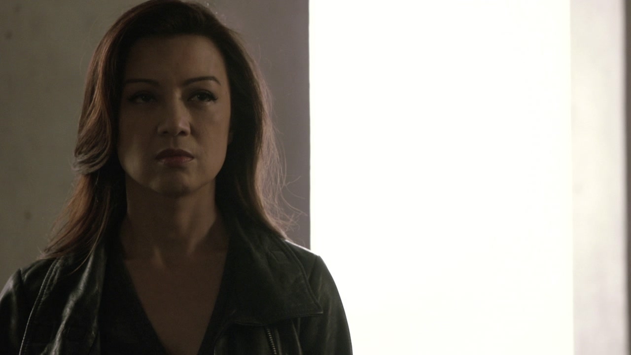 Marvel's Agents Of S.H.I.E.L.D.: Confrontation