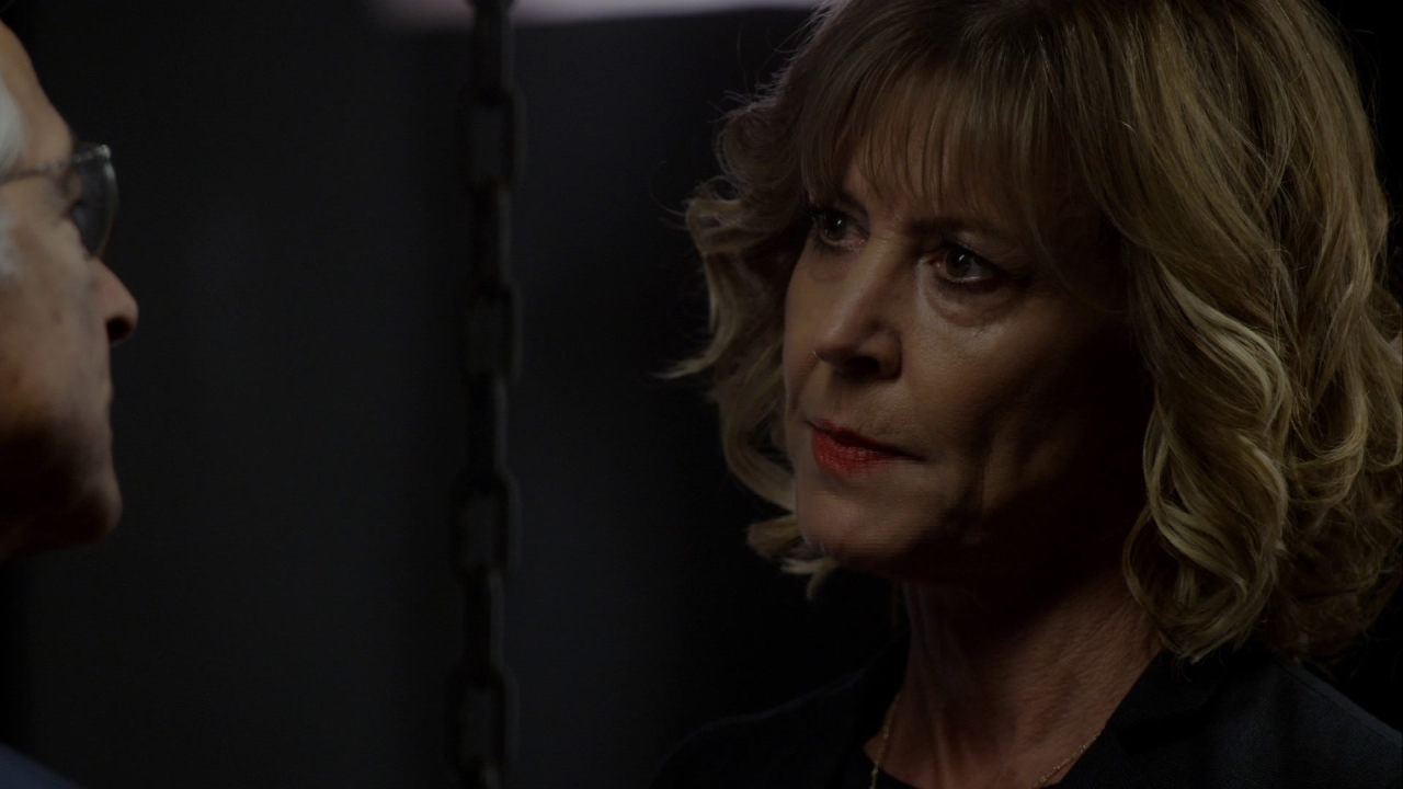 The Blacklist: The Director (No. 24)