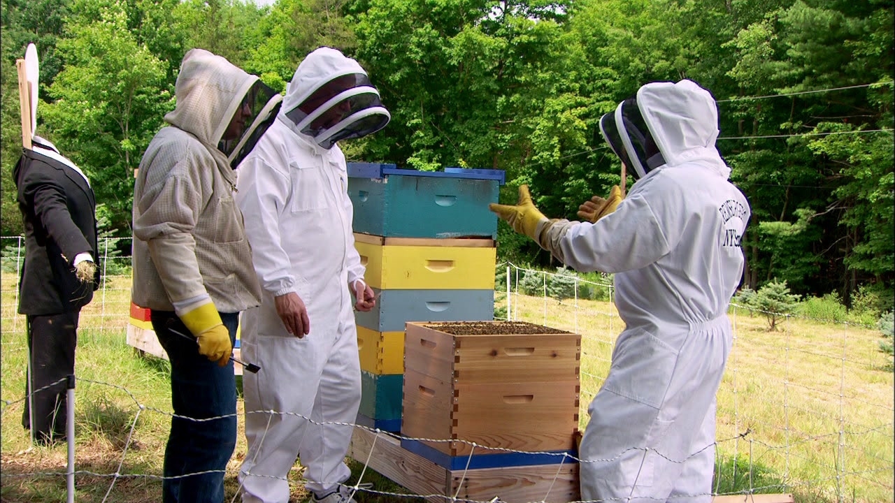Beyond The Tank: Beekeepers