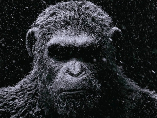 War For The Planet Of The Apes (Teaser)
